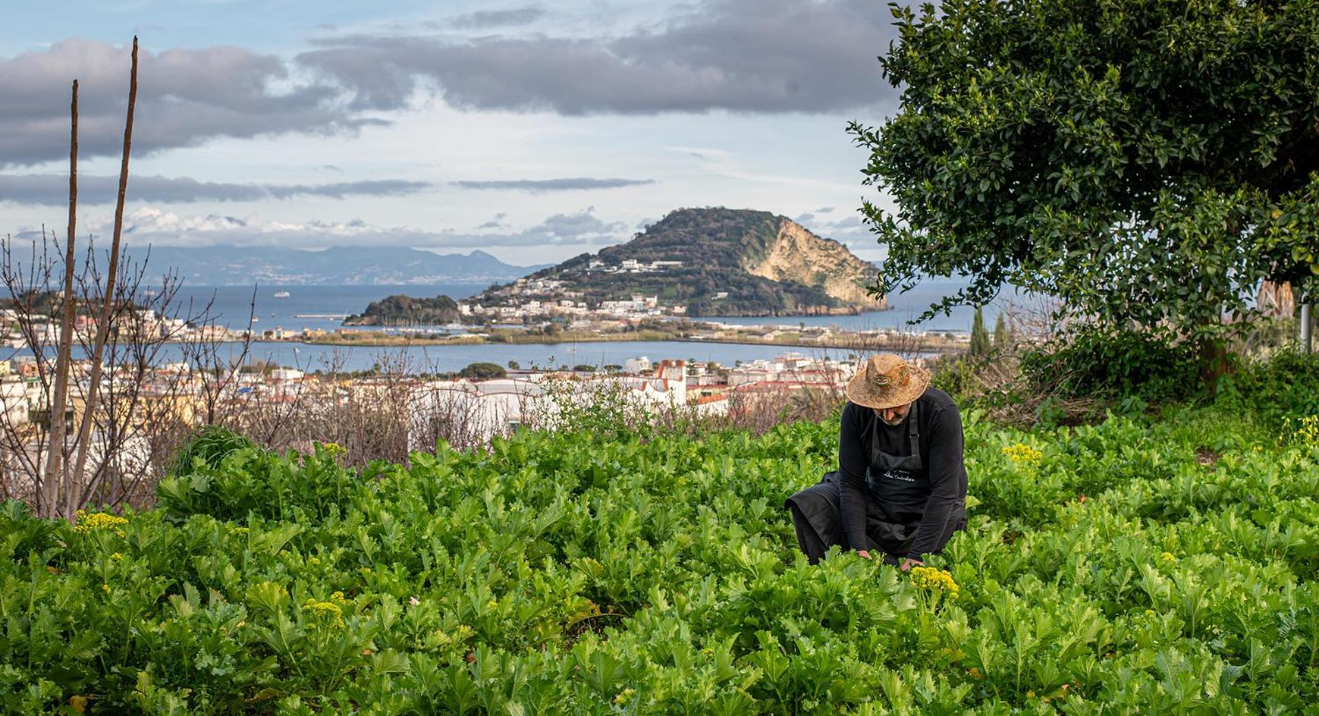 Don Salvatore Resort Monte di Procida Ngoại thất bức ảnh